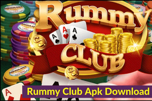 Indian Rummy Offline Card Game